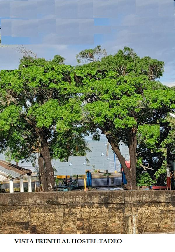 Hostel Tadeo San Juan Del Sur Eksteriør bilde